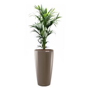 kentia-rondo-pot-taupe_546969.jpg