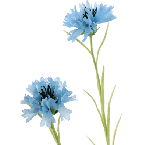 korenbloem kunstplant 2.png