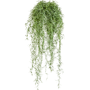 long-hair-green-kunstplant_eb1071.png