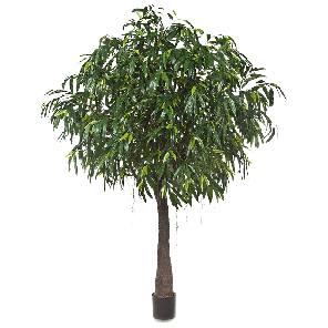 longifolia-royal-cabana-kunstplant_d24af5.png