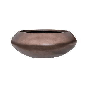 metallic-bowl-ufo-coffee.png