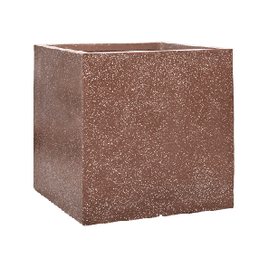 mokka2.png