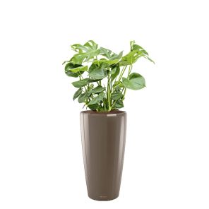 monstera-rondo-pot-taupe_87a7c3.jpg