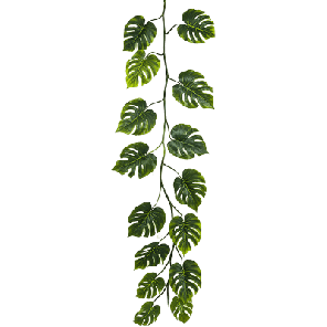 monstera kunst xl.png