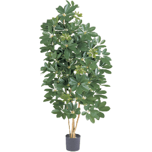 naturel-schefflera-kunstplant_3aa5ff.png