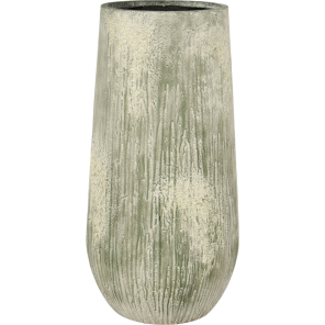 oyster nax wit.png