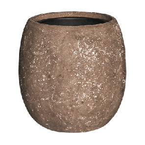 polystone balloon bruin.png