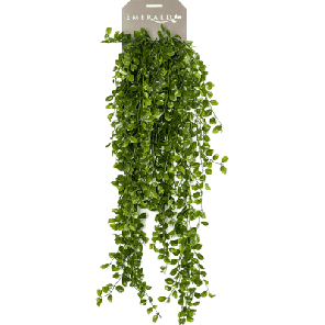 pumila bush.png