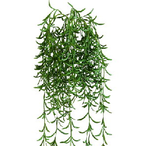 rhipsalis kunstplant.png