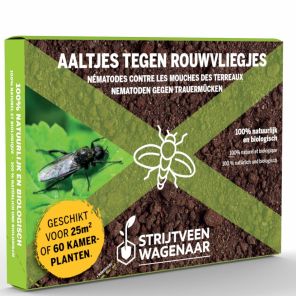 rouwvliegjes 25m2.jpg