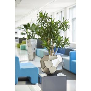 roxas-globe-steel-2.jpg