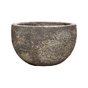 sandora bowl bruin.png