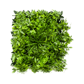 schefflera kunst plantenwand.png