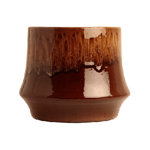 Tidal bruin.png