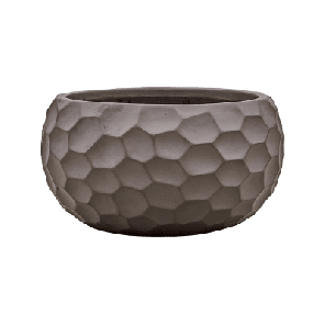 tortuga globe bruin.png