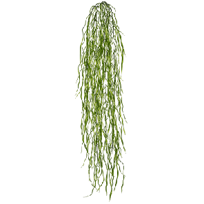 trailing gras.png