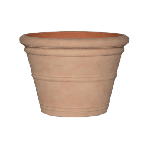 treasure kyra.png