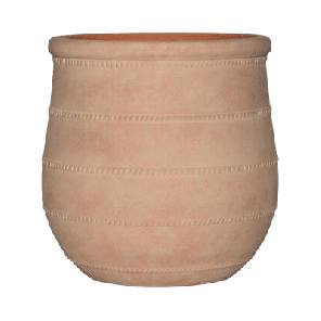 treasure nika.png