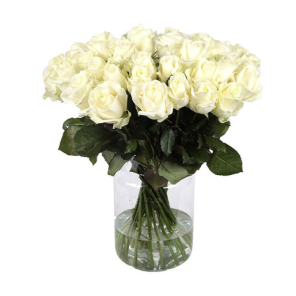Witte rozen.png