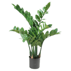 zamioculcas-kunstplant-70-cm_20b5ff.png