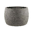 6DLIA8117-medium.png