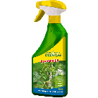 ecostylepng