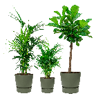 greenville20set20groenpng