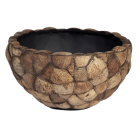 Bosco Bowl Coconut.png