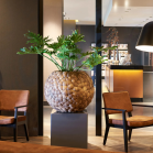 Bosco Globe Coconut (1).png