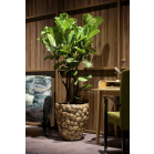 Bosco pot coconut 1.png