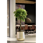 Caluya Planter Gold 1.png