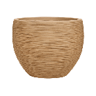 dune globe bruin.png