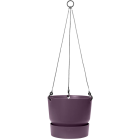 greenville hanger paars.png