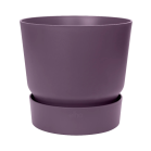 greenville rond paars.png