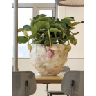 Kabibe shell Bowl sfeer.png