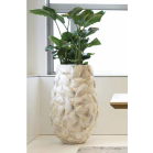 Kabibe shell Partner sfeer.png