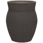 Mediterranean Apollo Omber Bruin.png