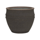 Mediterranean Athena Omber Bruin.png