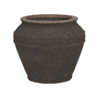 Mediterranean Eros Omber Bruin.png