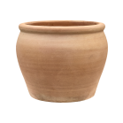 Terracotta Antica Roma.png