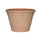 treasure kyra.png