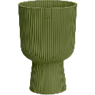 vibes coupe groen.png