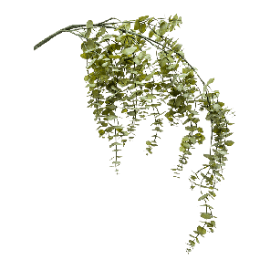 eucalypthus-tak-green-kunstplanta0c593png