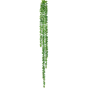 string-of-pearls-hanging-bush-kunstplant7a9c87png