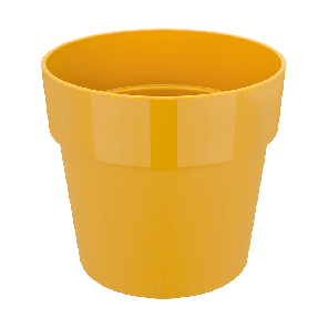 b-for-original-okerpng
