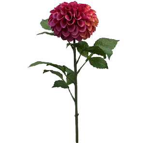 8ee426163png