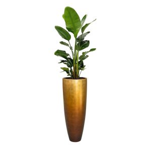 strelitzia-in-baq-metallic-partner-honeybb8689jpg