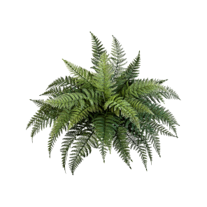 fern-bush-70cm17c1a8png