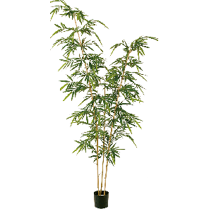new-bamboo-elegant-kunstplant97f480png