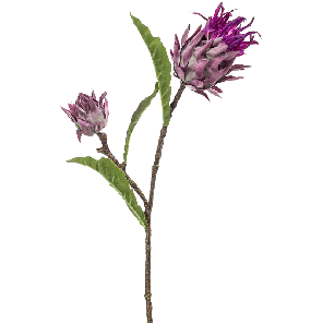8ee427200png